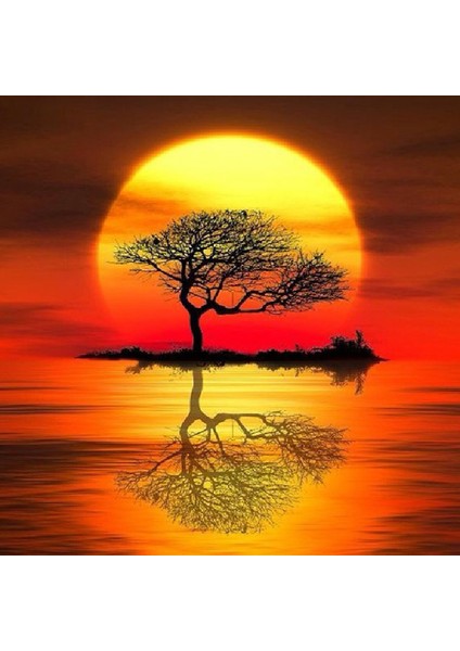 Alacakaranlıkta Refleks Ağaç Dıy Elmas Mozaik Tablo Mozaik Puzzle 30X30 cm Dekorları Tablo (Yurt Dışından)