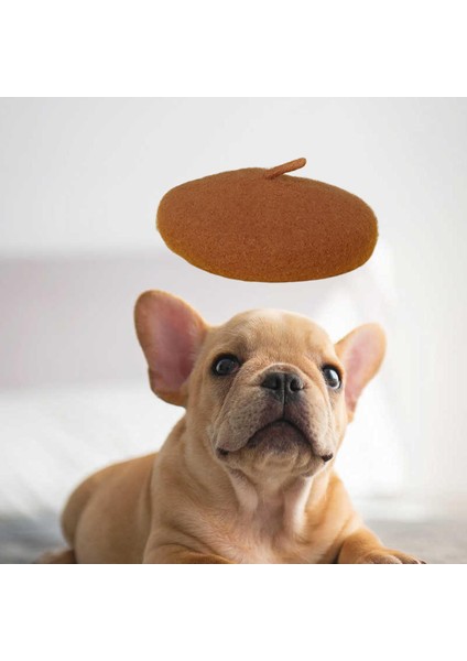 Köpek Kedi Yün Yard Şapk Yumuşak Malzeme El Yıkama Önerilebilir Kahverengi (Yurt Dışından) fırsatları