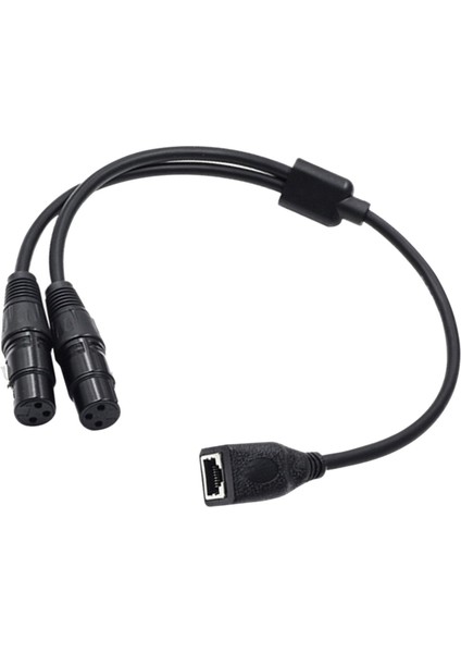 RJ45 Dişi Ila Çift Dmx Xlr 3pin Kadın Uzatma Kablosu, RJ45 Ila Çift Xlr Kadın (Yurt Dışından)