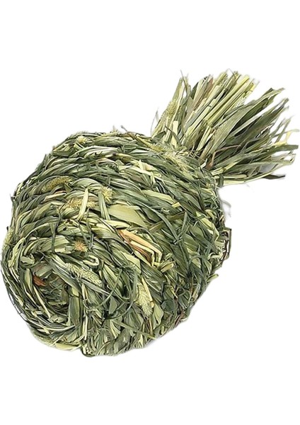 Küçük Hayvanlar Çiğneme Topları Evcil Hayvan Kafesi Aksesuarları Kobaylar Için Eğlence Ananas (Yurt Dışından)