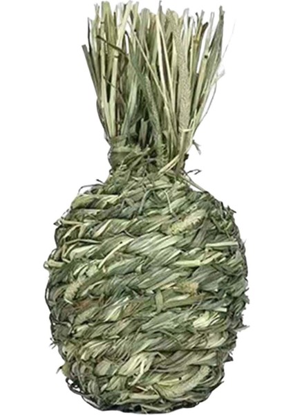 Küçük Hayvanlar Çiğneme Topları Evcil Hayvan Kafesi Aksesuarları Kobaylar Için Eğlence Ananas (Yurt Dışından) fiyatları