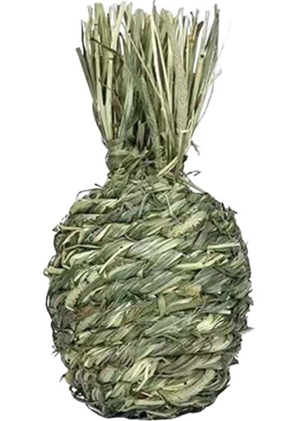 Küçük Hayvanlar Çiğneme Topları Evcil Hayvan Kafesi Aksesuarları Kobaylar Için Eğlence Ananas (Yurt Dışından) modelleri