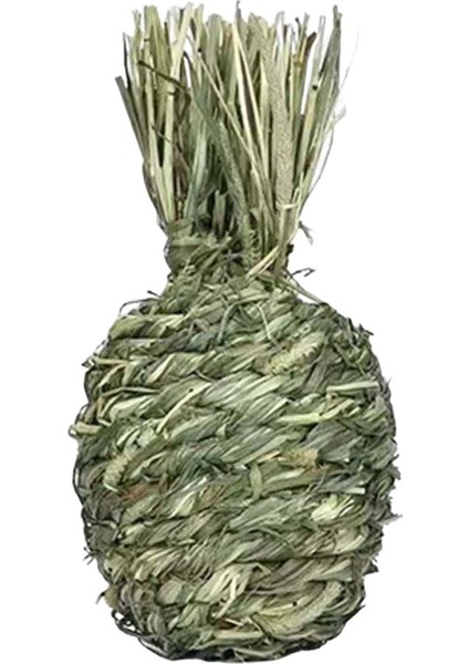 Küçük Hayvanlar Çiğneme Topları Evcil Hayvan Kafesi Aksesuarları Kobaylar Için Eğlence Ananas (Yurt Dışından) fırsatları