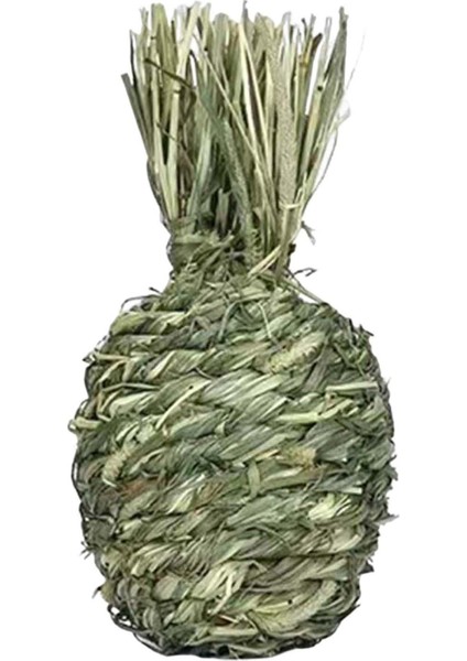 Küçük Hayvanlar Çiğneme Topları Evcil Hayvan Kafesi Aksesuarları Kobaylar Için Eğlence Ananas (Yurt Dışından) indirimleri