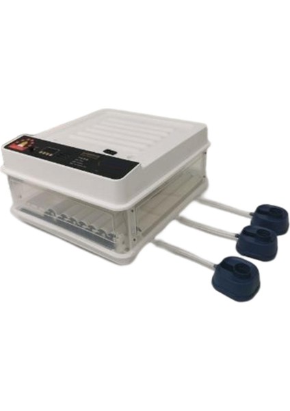 Otomatik Yumurta Inkübatör Tavuk Bıldırcın Hatcher 64EGGS (Yurt Dışından) fiyatları