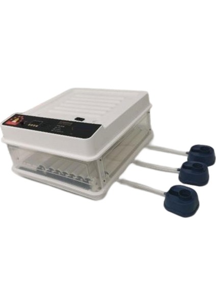 Otomatik Yumurta Inkübatör Tavuk Bıldırcın Hatcher 64EGGS (Yurt Dışından) modelleri