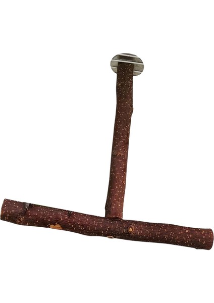 Parrot Levrek Kuş Standı Kutup Aksesuarları Oyuncak Kuş Kafesi Levrek Finch 25CMX25CMX2.5CM (Yurt Dışından) fiyatları