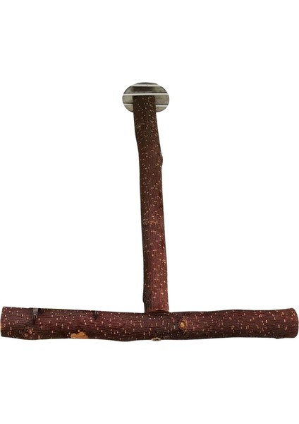 Parrot Levrek Kuş Standı Kutup Aksesuarları Oyuncak Kuş Kafesi Levrek Finch 25CMX25CMX2.5CM (Yurt Dışından) modelleri
