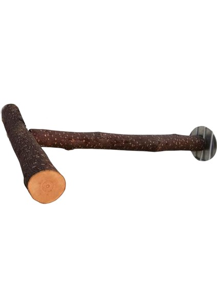 Parrot Levrek Kuş Standı Kutup Aksesuarları Oyuncak Kuş Kafesi Levrek Finch Için 30CMX30CMX2.5CM (Yurt Dışından) modelleri