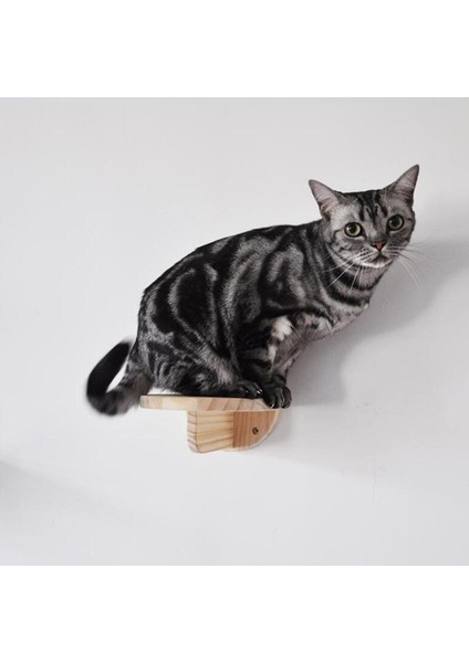 Kedi Tırmanma Raf Kedi Atlama Adım Hafif Merdiven Duvarı Monte (Yurt Dışından)
