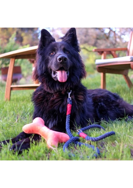 Lusi Doog 200CM Köpek Gezdirme Ipi - Lacivert - Kırmızı Detaylı