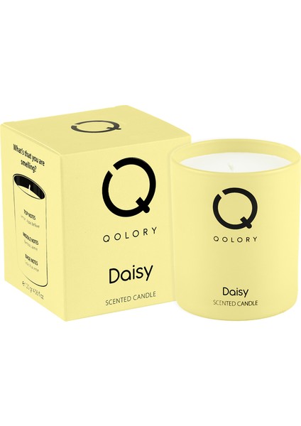 Daisy Scented Candle 120 gr Dekoratif Kokulu Mum