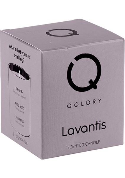 Lavantis Scented Candle 120 gr Dekoratif Kokulu Mum