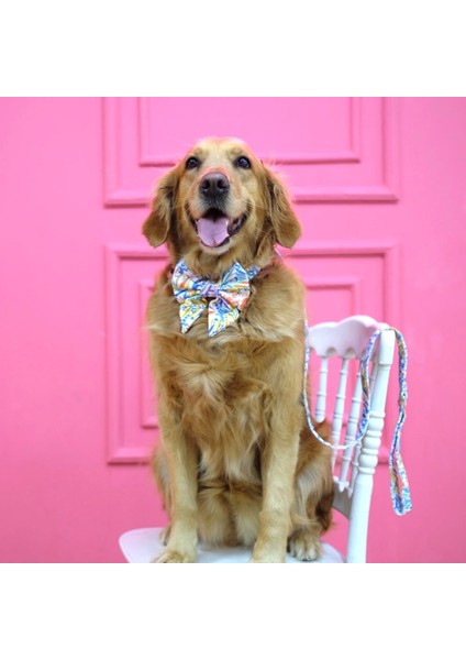 Köpek Gezdirme Kayışı Çiçek Desenli (2 Beden) modelleri