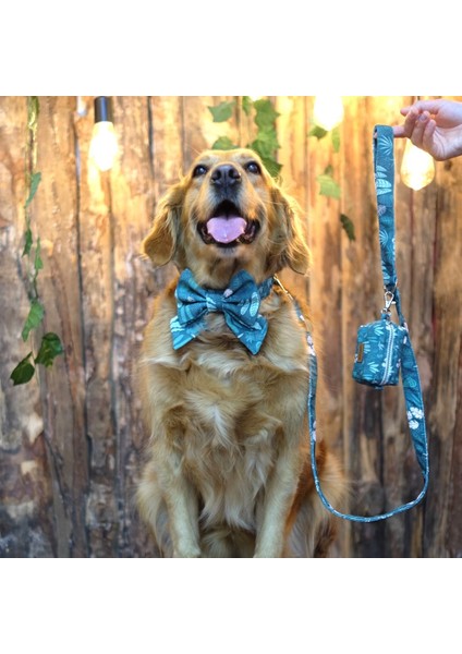 Papyon Tasma (3 Beden) Dişi Yeşil Çiçekli indirimleri