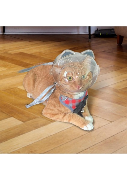 Pet Malzemeleri Için Şeffaf Hafif Kedi Ağız Kapağı Isıran Kedi Muzzles (Yurt Dışından) fiyatları