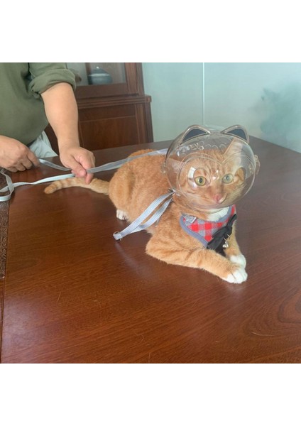 Pet Malzemeleri Için Şeffaf Hafif Kedi Ağız Kapağı Isıran Kedi Muzzles (Yurt Dışından) indirimleri