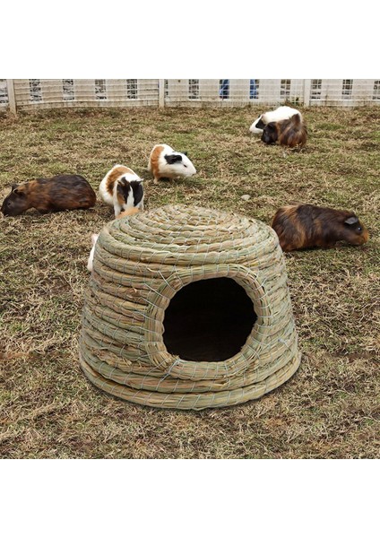 El Yapımı Tavşan Yatağı Kobay Için Konforlu Yuva Küçük Chinchilla Küçük (Yurt Dışından) fırsatları