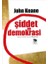 Şiddet ve Demokrasi 1