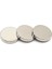 Çok Güçlü Neodyum Mıknatıs Yuvarlak Disk 30X5 mm 1