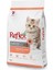 Kitten Tavuklu Yavru Kedi Maması 2kg 1