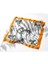 Zebra Ipek Fular 4