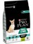 Small&mini Sensitive Digestion Kuzulu ve Pirinçli Küçük Irk Yetişkin Köpek Maması 3 kg 1