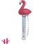 Havuz Sıcaklık Termometresi Flamingo 1