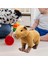 Peluş Capybara Oyuncak Doldurulmuş Hayvan Peluş Bebek Yumuşak (Yurt Dışından) 4