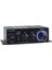 AK-280 Ses Güç Amplifikatörü Çift Kanal 12V 40WX2 Dijital (Yurt Dışından) 2