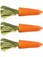 3pcs Hamster Molar Oyuncak Atıştırmalıkları, Kemirgen Hayvanlar Için Evcil Hayvan Öğütme Oyuncakları Havuç (Yurt Dışından) 3