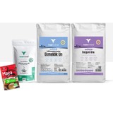 Tam Tarım (Glutensiz) Ekmeklik Un 2 kg + Sorgum Unu 2 kg + Psyllium 100 gr + Kuru Maya