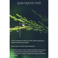 Bade Natural Çam Uçucu Yağı %100 Saf 10 ml