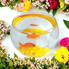 Girist Geniş Ağızlı Orta Boy Cam Fanus Teraryum Balık ve Çiçek Dekoru 20X16 (Boş Fanus)