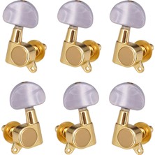 Surjion 6x Kapalı Gitar String Tuning Pegs Elektrikli Folk Gitar Dize Düğmesi 2l 4r Aureate (Yurt Dışından)