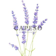 Capeso Lavender Lavanta Çubuklu Oda Kokusu 150 ml