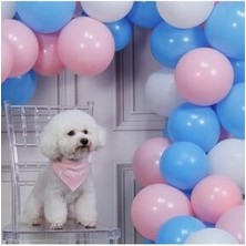 Meri Parti  50 Adet Pastel Balon ve 5 Metre Balon Zinciri (Pembe- Açık Mavi-Beyaz)