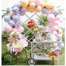 Meri Parti Makaron Lila Pembe Somon Temalı Balon ve Balon Zincir