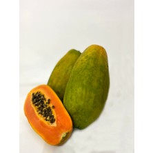 Tropmix 2 kilo Tropikal Papaya Meyvesi