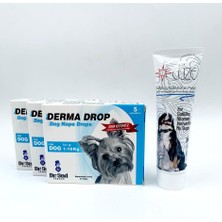 ANS 1-10KG Köpekler Için Deri Bakım Damlası 3 Kutu + Multivitamin