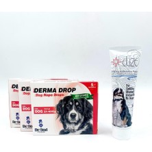 ANS 21-40KG Köpekler Için Deri Bakım Damlası 3 Kutu + Multivitamin