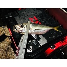 Daiwa Gekkabijin Ajing Jig Head 1.0 gr 8 Numara Iğne
