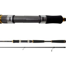 Daiwa New Legalis Seabass 2.40M 10-35GR Spin Kamışı