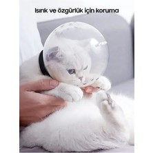 Topaloğlu Ticaret Kedi Bakım ve Koruma Küresi