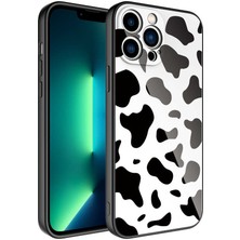 Kılıf Adam Apple iPhone 12 Pro Kılıf Kamera Korumalı Desenli Sert Silikon  Epoksi Kapak