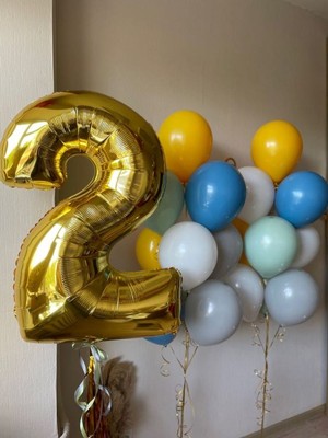 Meri Parti 2 Yaş Doğum Günü Balon 2 Yaş Konsept Doğum Günü 15 Adet Lateks Balon ve 2 Yaş Folyo Balon