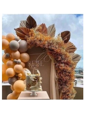 Meri Parti Pastel Balon Konsept Somon Gri Balon