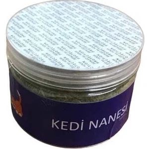 Catnip Kedi Nanesi Kavanoz 82GR