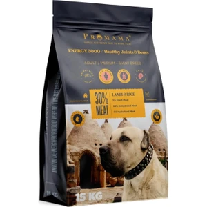 Energy 5000 Yetişkin Köpek Maması