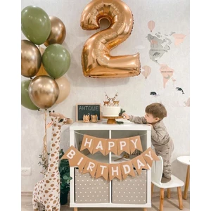 Meri Parti 2 Yaş Doğum Günü Balon Set Happy Bırthday Banner ve Balonlar 2 Yaş Konsept